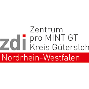 Logo ZDI